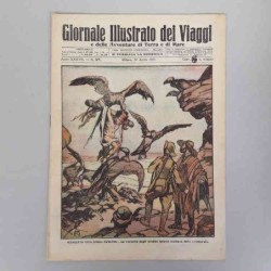 Giornale illustrato dei...