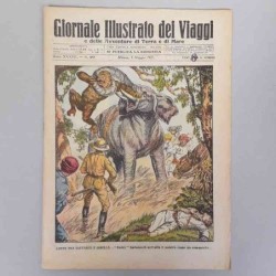 Giornale illustrato dei...