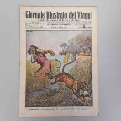 Giornale illustrato dei...