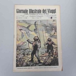 Giornale illustrato dei...