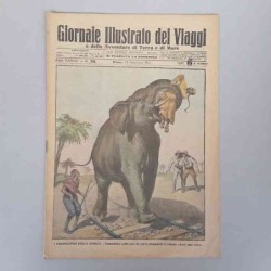 Giornale illustrato dei...