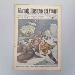 Giornale illustrato dei...