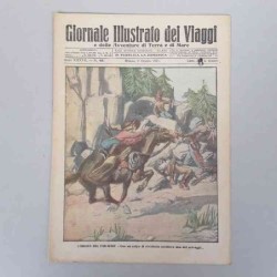 Giornale illustrato dei...
