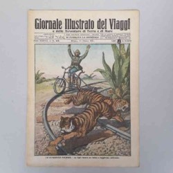 Giornale illustrato dei...