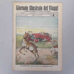 Giornale illustrato dei...