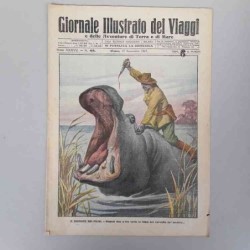 Giornale illustrato dei...
