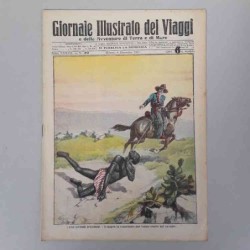 Giornale illustrato dei...