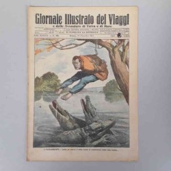 Giornale illustrato dei...