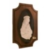 Madonna scultura
