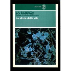 La scienza di Falaschi - Milanesi