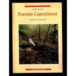 Foreste Casentinesi di Borghi Simone