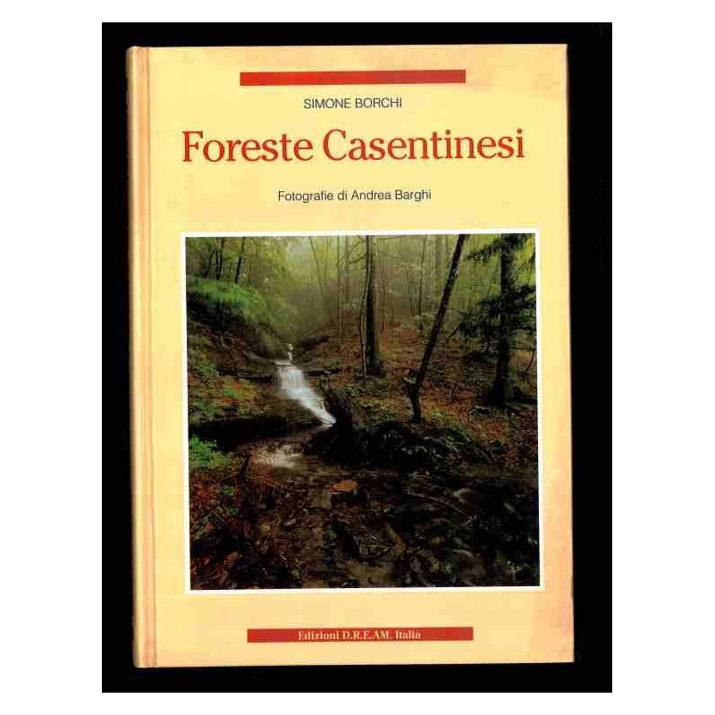 Foreste Casentinesi di Borghi Simone